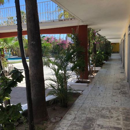 Hotel Calafia La Paz Exterior photo