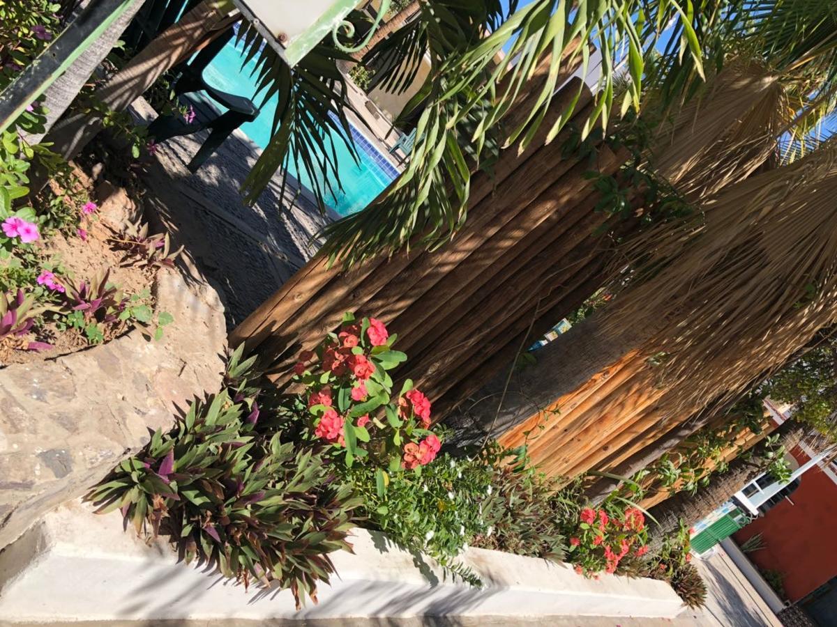 Hotel Calafia La Paz Exterior photo